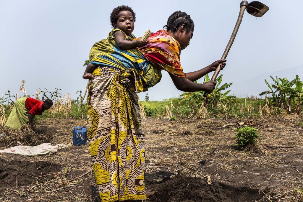 Local women prepare a Kasava field in the West Lake Edward village of Lunyesenge in the Democratic Republic of the Congo.