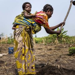 Local women prepare a Kasava field in the West Lake Edward village of Lunyesenge in the Democratic Republic of the Congo.