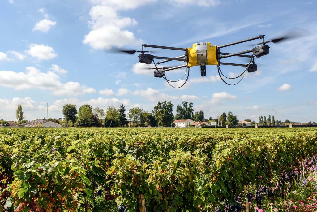 Drone over French vineyard.