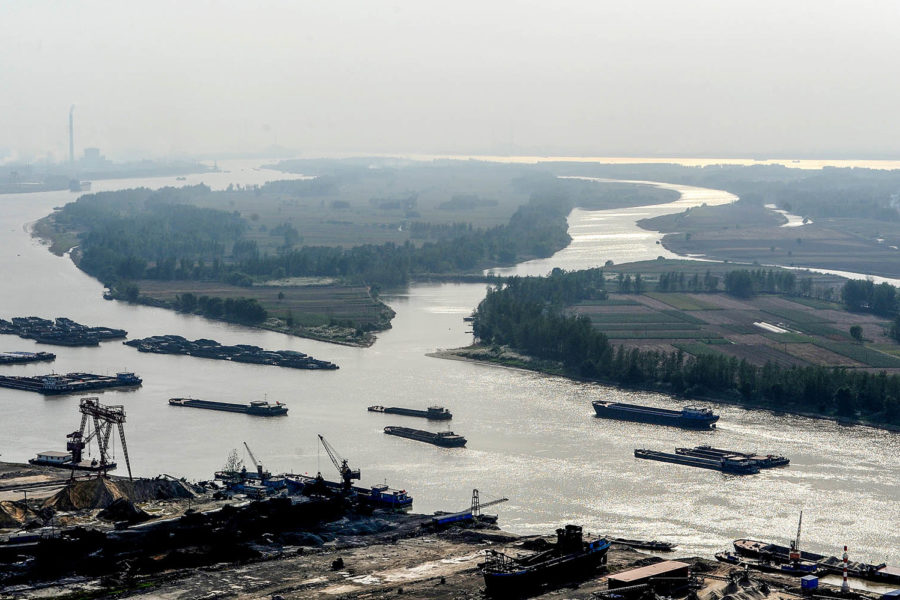The Globalization of Anti-Globalization and its Implications