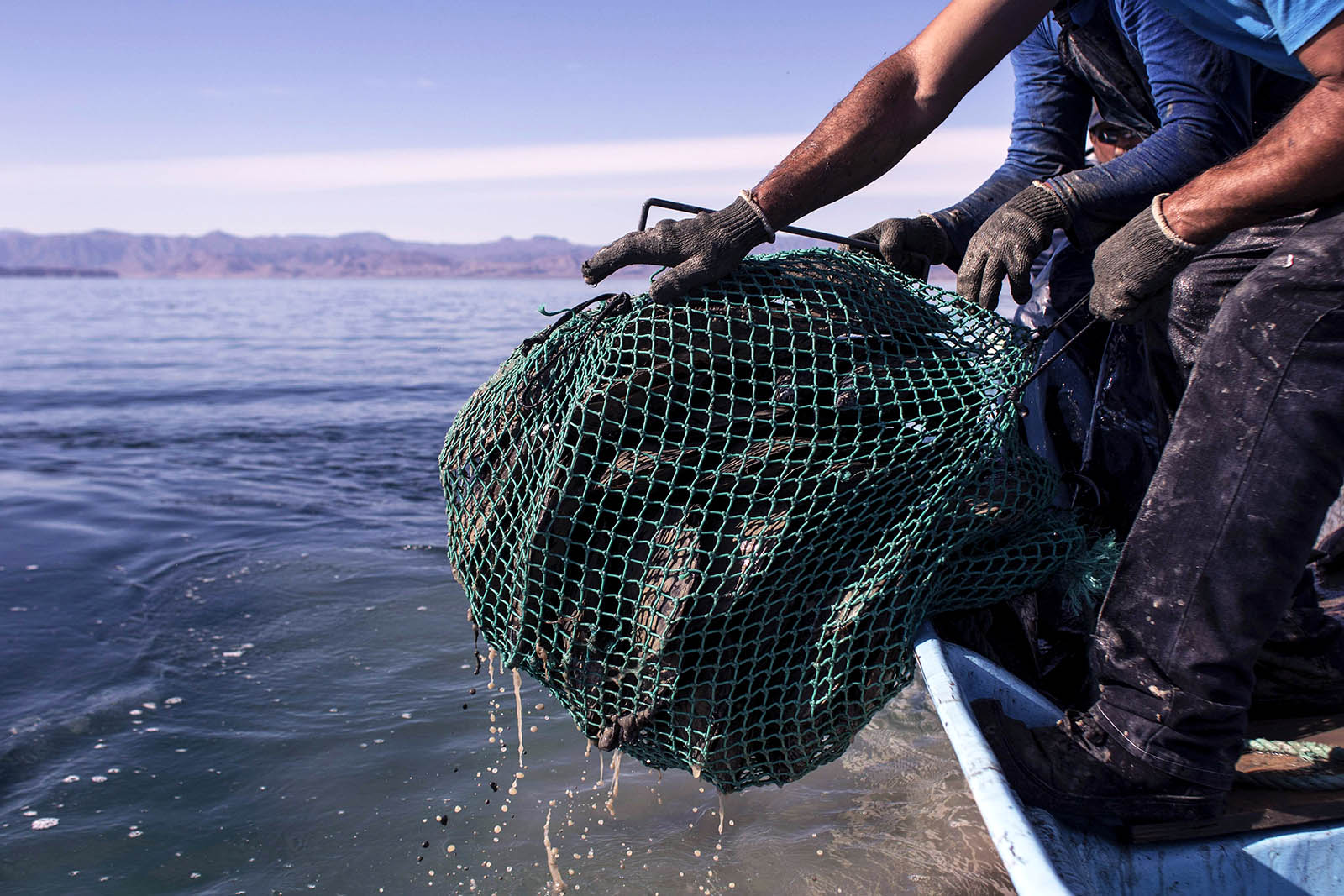 Fishing in Dangerous Waters: A New Flashpoint for Latin America