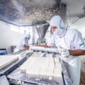 Worker at a dairy factory