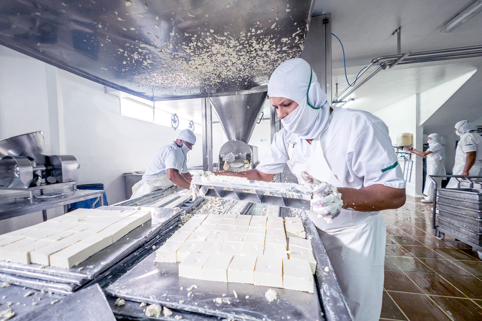 Worker at a dairy factory