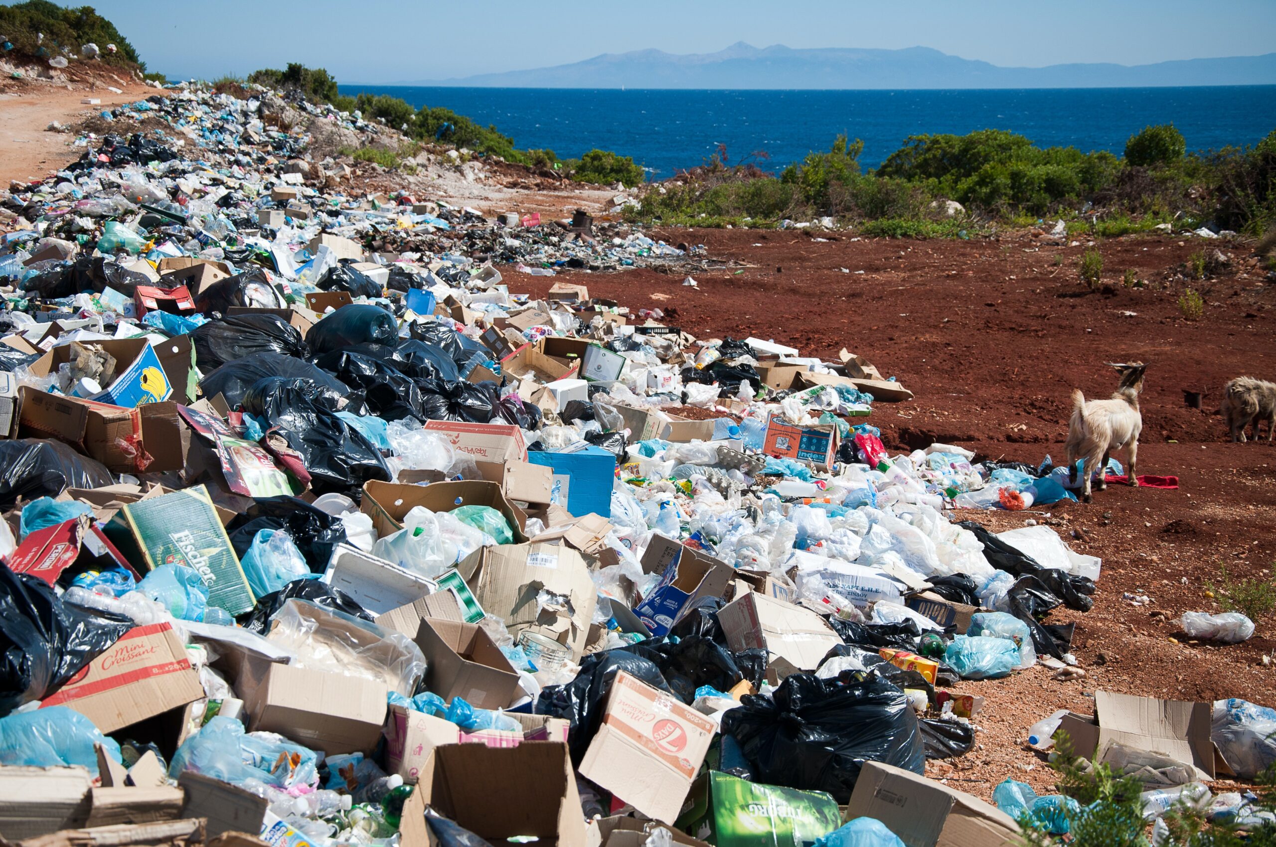 A towering pile of garbage and plastic dwarf a nearby goat. The sea can be seen in the background.