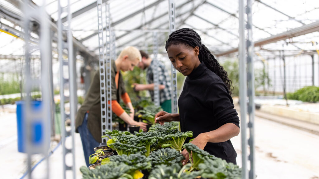 A woman with long braids works with plants in a greenhouse. Other gardeners work in a line behind her.