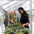 A woman with long braids works with plants in a greenhouse. Other gardeners work in a line behind her.