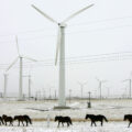 Wind turbines in a snowy field with an overcast grey sky. A line of brown ponies walks past the turbines in the foreground.