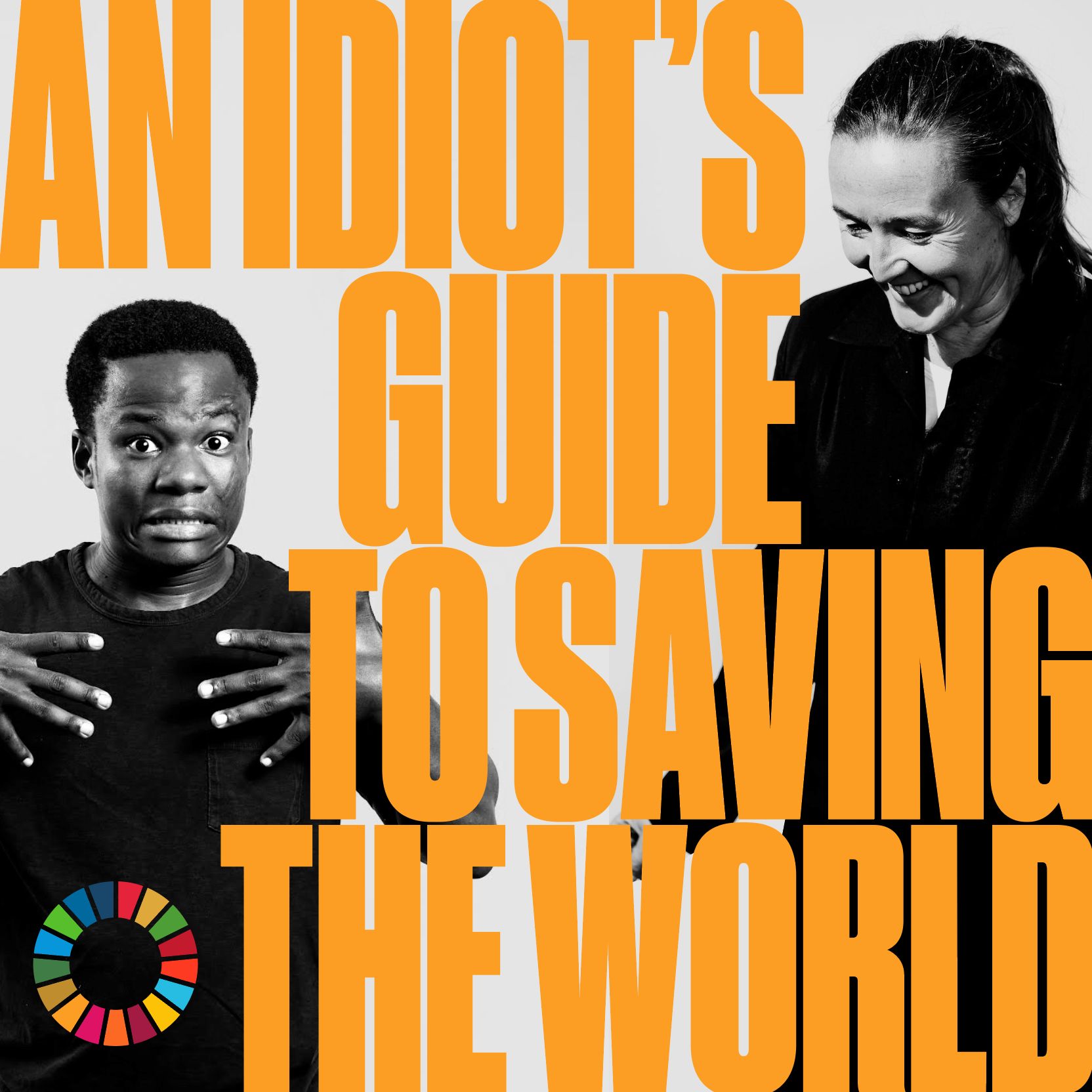 An Idiot’s Guide to Saving the World BRINK Conversations and