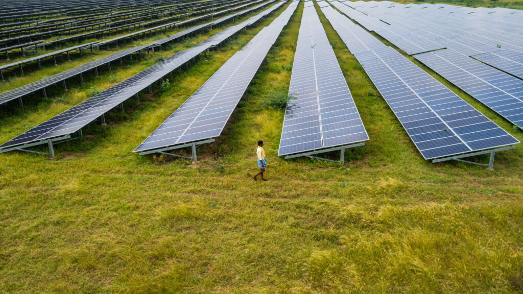 A small figure of a woman walks in front of a large field of huge solar panels, set on green grass.