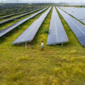 A small figure of a woman walks in front of a large field of huge solar panels, set on green grass.