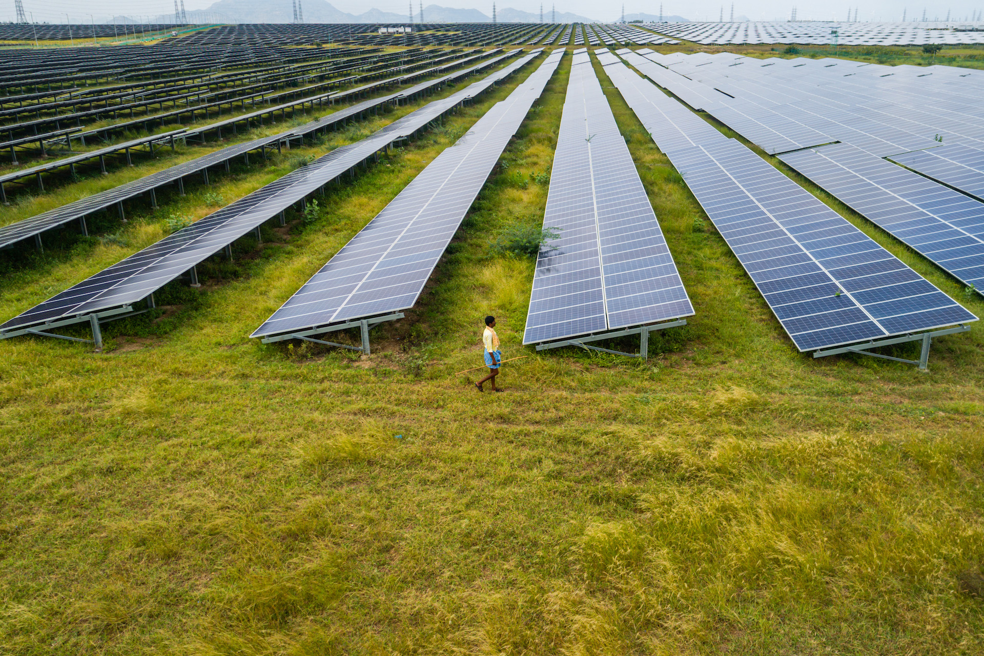 A small figure of a woman walks in front of a large field of huge solar panels, set on green grass.