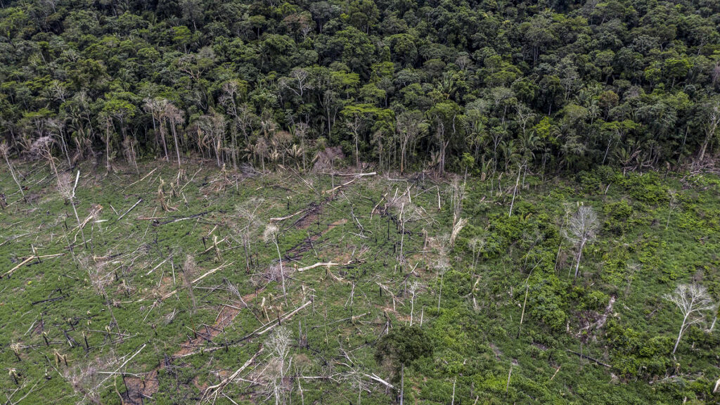 Amazon Deforestation image via WWF