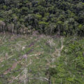 Amazon Deforestation image via WWF