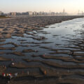 Wuhan, China, Yangtze River tidal flat