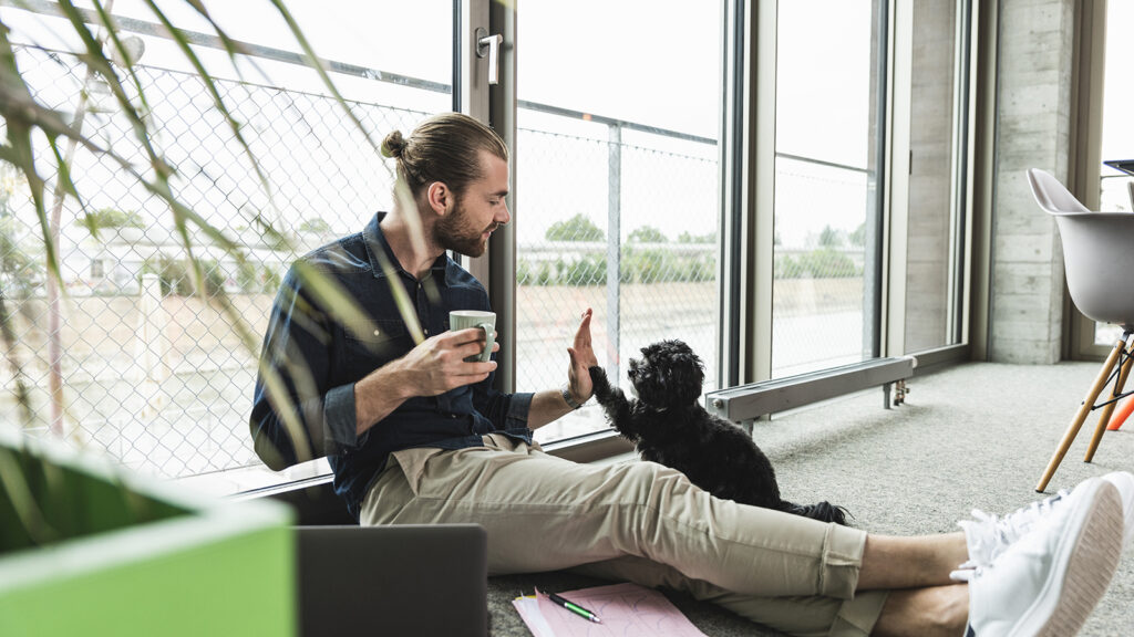 Young businessman with laptop sitting on the floor in office playing with dog